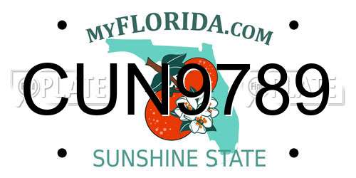 CUN9789 Florida License Plate