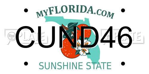 CUND46 Florida License Plate