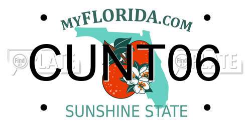 CUNT06 Florida License Plate