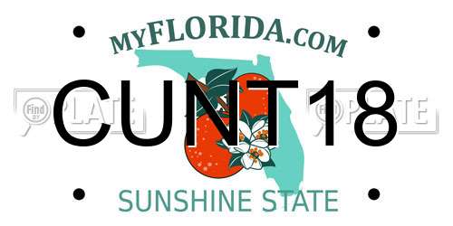 CUNT18 Florida License Plate