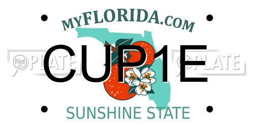 CUP1E Florida License Plate