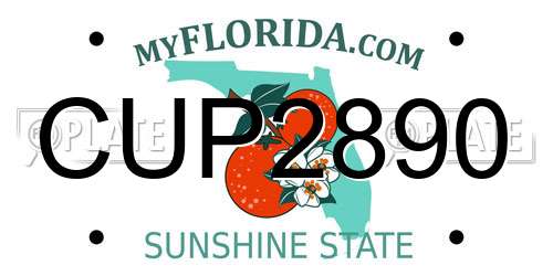 CUP2890 Florida License Plate
