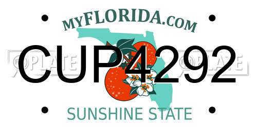 CUP4292 Florida License Plate