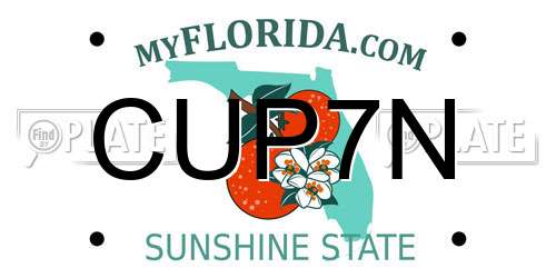 CUP7N Florida License Plate