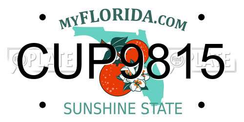 CUP9815 Florida License Plate