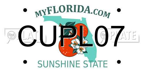 CUPL07 Florida License Plate