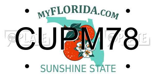 CUPM78 Florida License Plate