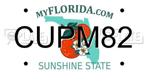 CUPM82 Florida License Plate