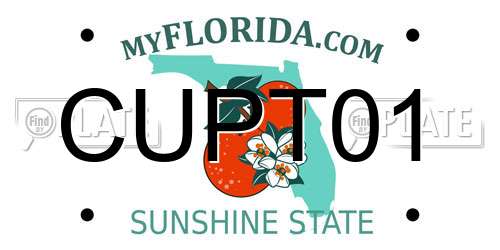 CUPT01 Florida License Plate