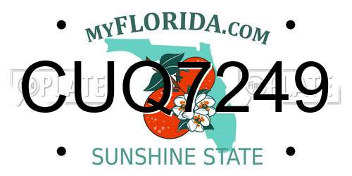 CUQ7249 Florida License Plate