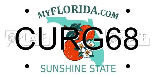 CURG68 Florida License Plate