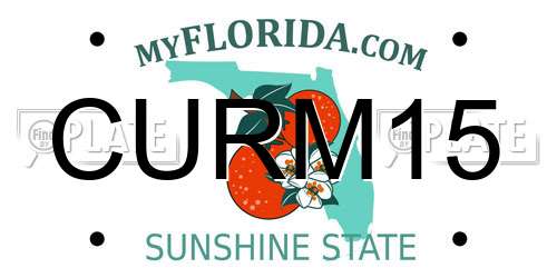 CURM15 Florida License Plate