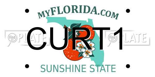 CURT1 Florida License Plate