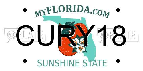 CURY18 Florida License Plate