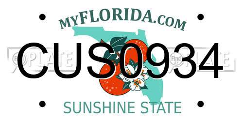 CUS0934 Florida License Plate