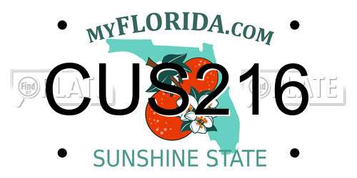 CUS216 Florida License Plate
