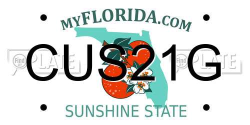 CUS21G Florida License Plate