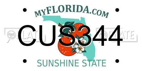 CUS344 Florida License Plate