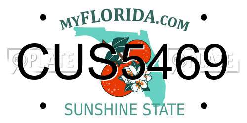 CUS5469 Florida License Plate