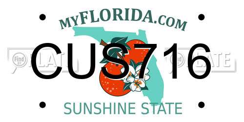 CUS716 Florida License Plate