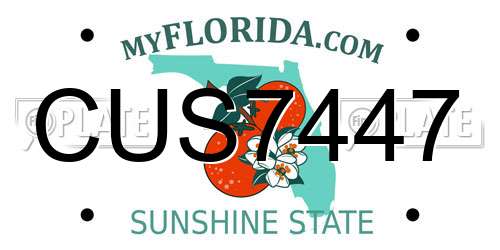 CUS7447 Florida License Plate