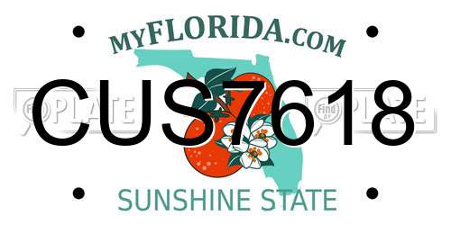 CUS7618 Florida License Plate