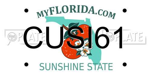 CUSI61 Florida License Plate