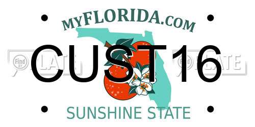CUST16 Florida License Plate