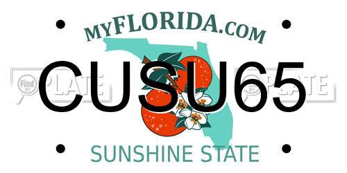 CUSU65 Florida License Plate