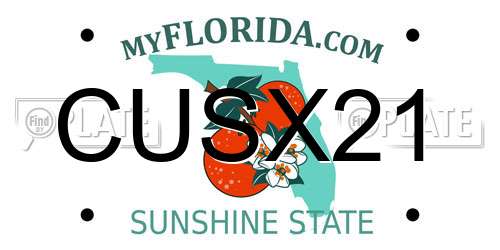 CUSX21 Florida License Plate