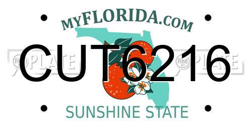 CUT6216 Florida License Plate
