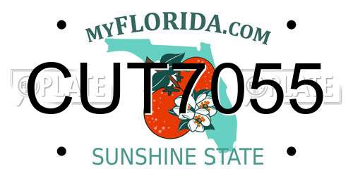 CUT7055 Florida License Plate
