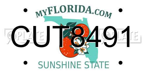 CUT8491 Florida License Plate