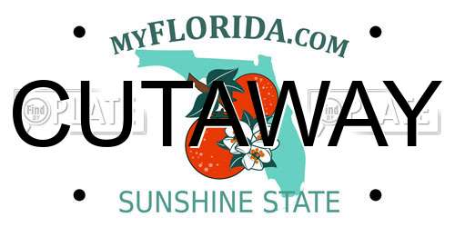 CUTAWAY Florida License Plate