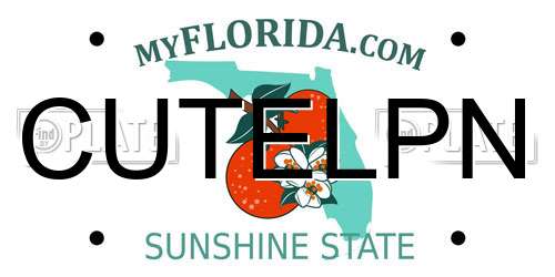 CUTELPN Florida License Plate