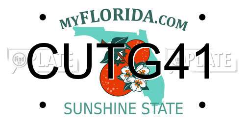 CUTG41 Florida License Plate