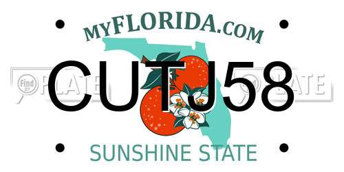 CUTJ58 Florida License Plate
