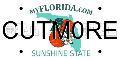 CUTM0RE Florida License Plate