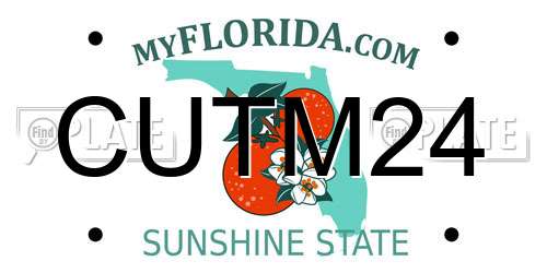 CUTM24 Florida License Plate