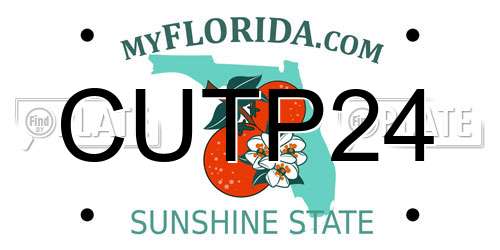 CUTP24 Florida License Plate