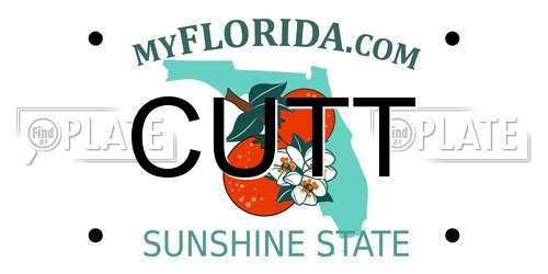 CUTT Florida License Plate