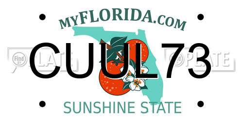 CUUL73 Florida License Plate