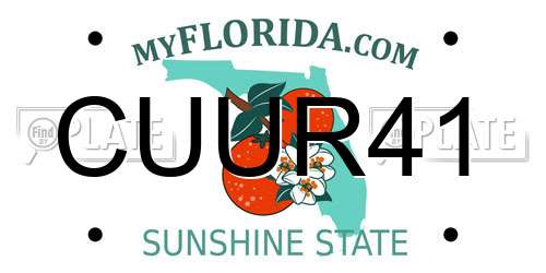 CUUR41 Florida License Plate