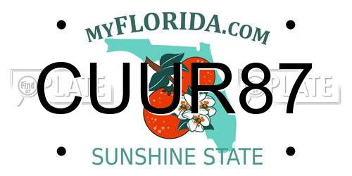 CUUR87 Florida License Plate