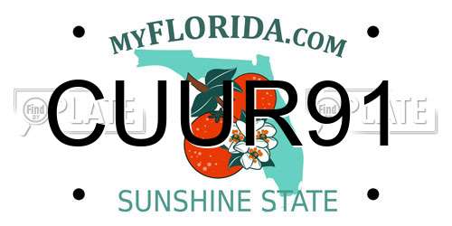 CUUR91 Florida License Plate