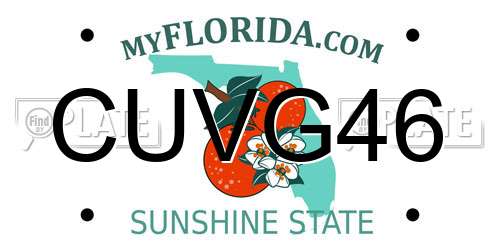 CUVG46 Florida License Plate