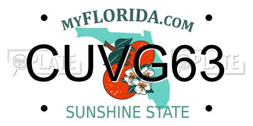 CUVG63 Florida License Plate