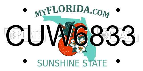 CUW6833 Florida License Plate