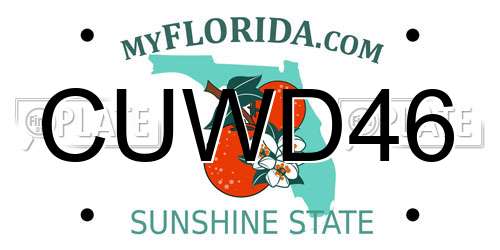 CUWD46 Florida License Plate