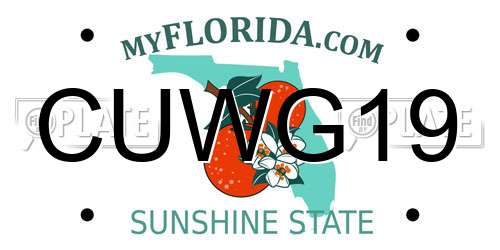 CUWG19 Florida License Plate